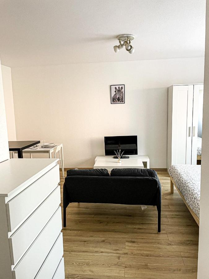 Le Paisible-T1-26M2 Appartement Centre Ville Mulhouse Exterior foto